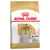 ROYAL CANIN Adulto Bichón Maltés, a partir de 10 meses, imagen de un perro blanco y de la forma de las croquetas en el envase. ROYAL CANIN Adulto Bichón Maltés, a partir de 10 meses, imagen de un perro blanco y de la forma de las croquetas en el envase.