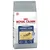 Saco de ração Royal Canin Performance Energy 4300, 15 kg. Texto visível: 'Activity Booster', 'Extreme quality', 'Optimal digestive safety', 'Joint maintenance'. Imagem de cão a correr.