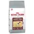 Saco de ração Royal Canin Performance Energy 4800, 15 kg. Texto visível: 'Activity Booster', ícones para clima extremo, segurança digestiva e manutenção das articulações.