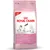 Økonomipakke: 2 store poser Royal Canin kattefôr