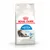 Royal Canin Indoor Long Hair  - 4 kg
