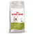 Royal Canin Outdoor 30 dry food for active cats, activity support, strengthened natural defences, supports healthy bones and joints. For cats with frequent outdoor access.