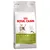 Royal Canin Outdoor 30, pienso para gatos activos. Texto visible: Activity Support, Outdoor 30, strengthened natural defences, supports healthy bones and joints. Imagen de un gato.