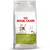 Økonomipakke: 2 store poser Royal Canin kattefôr
