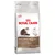 Royal Canin Ageing 12+ dry food for cats over 12 years, supports healthy ageing, renal health and appetite stimulation. Healthy Ageing Complex highlighted on packaging.