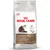 Royal Canin Ageing +12 years, supports healthy ageing and renal health, suitable for cats over 12 years old, helps stimulate appetite, visible feeding guide and product features.