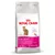 Bag labelled Royal Canin Exigent 35/30, Savour Sensation for fussy cats, with icons for coat beauty and ideal weight maintenance. Text in multiple languages visible on packaging.