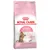 Sachet Royal Canin Second Age Kitten Sterilised, texte visible en anglais, image d’un chaton, mentions Growth & Weight Control et Immune System Support, système zip refermable.