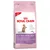 ROYAL CANIN KITTEN STERILISED, pienso para gatitos esterilizados hasta 12 meses. Texto visible: Growth & Weight Control, Natural defences, Digestive health.