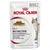 Royal Canin Instinctive Jelly våtfoder för vuxna katter, 85 g. Bild på foderbitar i gelé och katt. Text: Ausgewachsene Katzen, Chats adultes, Для взрослых кошек.