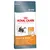 Mieszany pakiet próbny Royal Canin, 2 x 2 kg - Hairball Care + Hair & Skin Care Mieszany pakiet próbny Royal Canin, 2 x 2 kg - Hairball Care + Hair & Skin Care