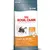 Royal Canin Feline Care Nutrition Hair & Skin 33. Haut- und Fellpflege mit sichtbarem Effekt in 21 Tagen. Omega 3&6, Vit. B, Zink. Freshpack-Verschluss.
