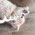 Aumüller Jouet pour chat Loopy Spiral - 1 jouet Aumüller Jouet pour chat Loopy Spiral - 1 jouet