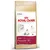 Bag labelled Royal Canin Feline Breed Nutrition, Persian 30, adult over 12 months, enhanced with L-Lysine, targeted long hair beauty, special kibble shape shown.