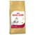 Bag labelled Royal Canin Adult Persian, for over 12 months old. Highlights include special long hair care, hairball reduction, and digestive performance. Feline breed nutrition.