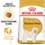 Royal Canin Adult Bichon Frise Hundefutter. Speziell angepasste Krokette für gesunde Harnwege. Breed Nutrition Konzept.