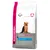 Sac hrană uscată Eukanuba Breed Specific pentru câini, Yorkshire Terrier, text vizibil: Balance, Defend, Dental, imagine cu un Yorkshire Terrier pe ambalaj.