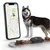 Weenect Pet GPS Tracker XT para perros
