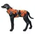 Icepeak Pet Fleecejacke, schwarz/orange