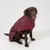 Nomad Tales Spirit Softshell-Hundemantel, burgunderrot Nomad Tales Spirit Softshell-Hundemantel, burgunderrot