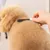 Wahl Grooming Comb hundkam Wahl Grooming Comb hundkam
