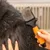 WAHL® Premium fleksibel dobbeltsidig børste