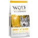 Lot Wolf of Wilderness 2 x 12 kg pour chien - lot mixte : Adult Blue River, saumon + Adult Green Fields, agneau