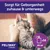 Feliway Classic Spray, sorgt für Geborgenheit zuhause und unterwegs, 20 ml x16.