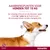 Aanbrengpunt Advantix voor honden tot 10 kg: volledige inhoud op 1 plek tussen de schouderbladen aanbrengen. Niet gebruiken voor katten. Advantix merknaam zichtbaar.
