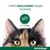 Advantage® 40 voor Katten tot 4 kg