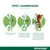 Advantage® 40 voor Katten tot 4 kg