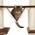 Cat tree with white fabric hammock, brown platforms and sisal posts. Cat sitting in the hammock.