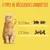 3 types de délicieuses croquettes pour chat, formes visibles : 14,5 x 8 mm et 13 x 13 mm, illustrées à côté d’un chat roux assis. Texte en français.