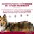 Advantix® 400/2000 Spot-On Solution voor Honden 25 - 40 kg
