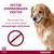 Advantix® 400/2000 Spot-On Solution voor Honden 25 - 40 kg
