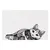 Trixie Cat Placemat - 44 x 28 cm (L x W)