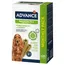 Advance Dental Medium Sticks - Saver Pack: 2 x 720g