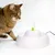 Trinkbrunnen mit sprudelndem Wasser und grünem Ball, Katze beobachtet den Brunnen. Elektrisches Kabel sichtbar.