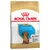 Royal Canin Teckel Puppy pour chiot - 1,5 kg