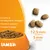 IAMS суха храна за кучета в напреднала възраст, малки и средно-големи породи. Диаметър на гранулите 12,5 мм, дебелина 5 мм.