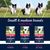 Eukanuba Adult Small & Medium Breed Lamb & Rice