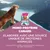 Eukanuba Special Care Adulte Mono-Protéine avec canard Eukanuba Special Care Adulte Mono-Protéine avec canard