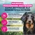 Eukanuba Special Care Mono-Protein Adult, łosoś