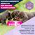 Eukanuba Premium Nutrition Puppy Small Breed Huhn