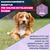 Eukanuba Premium Nutrition Puppy Medium Breed piščanec