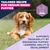 Eukanuba Premium Nutrition Puppy Medium Breed kuracie