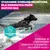 Eukanuba Premium Nutrition Adult Large & Giant Breed, kurczak