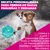 Eukanuba Premium Nutrition Adult Small & Medium Breed cordero y arroz