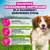 Eukanuba Premium Nutrition Adult Small & Medium Breed, jagnięcina i ryż