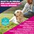 Eukanuba Premium Nutrition Adult Large & Giant Breed Agnello & Riso
